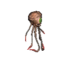 beholder.gif (2004 bytes)