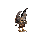 harpyhag.gif (3069 bytes)