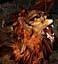 manticore.jpg (7362 bytes)