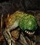 troglodyte.jpg (7025 bytes)